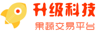 升级科技信息商城